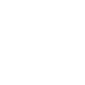 Nextel